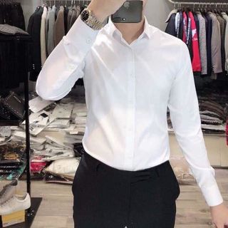 Áo trắng SÓI CA hàng cao cấp cho nam