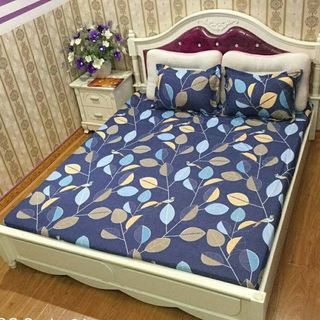 Bộ ga chun 2 vỏ gối cotton poly mềm mại giá sỉ