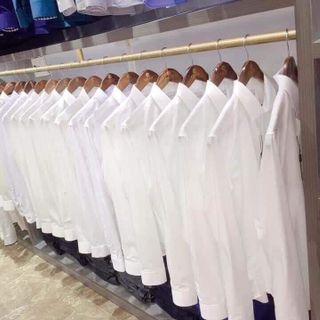 Áo trắng SÓI CA hàng cao cấp cho nam