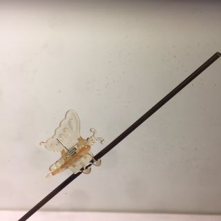 Kẹp hoa lan kẹp thân kịp hình bướm Gói 1000 cái