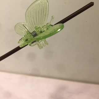 Kẹp hoa lan kẹp thân kịp hình bướm Gói 1000 cái