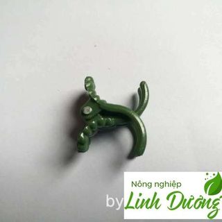 Kẹp thân lan Kẹp xanh kẹp hoa lan loại lớn Gói 1000 cái