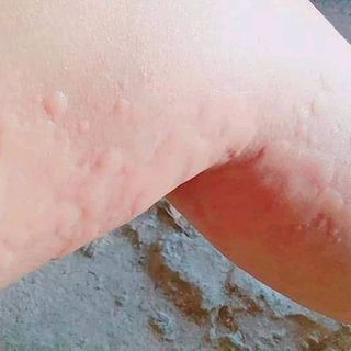 KEM ĐA NĂNG BÀ VÂN