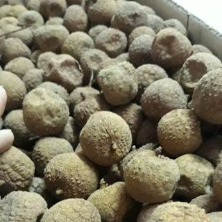VẢI THIỀU SẤY KHÔ BẮC GIANG