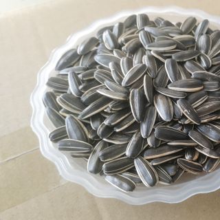 HƯỚNG DƯƠNG RANG THƠM NGON HẢO HẠNG