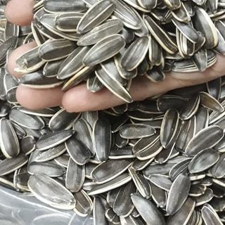 HƯỚNG DƯƠNG RANG THƠM NGON HẢO HẠNG