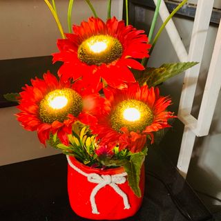 CHẬU HOA HƯỚNG DƯƠNG