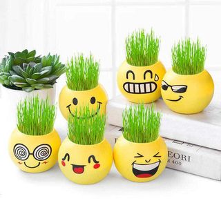 Chậu lúa cảnh hình mặt cười trang trí