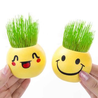 Chậu lúa cảnh hình mặt cười trang trí