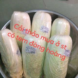 Kim chi tư hói