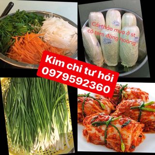 Kim chi tư hói