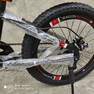 xe đạp dragon 01