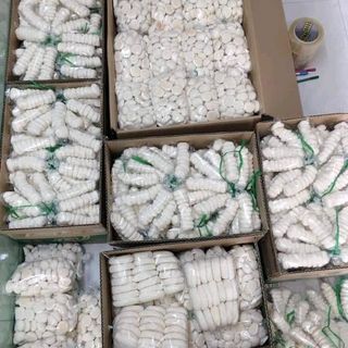 Bánh bao sữa tuổi thơ
