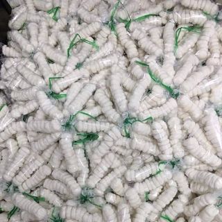 Bánh bao sữa tuổi thơ