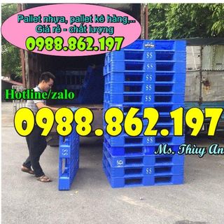 pallet giá rẻ pallet nhựa pallet nhựa giá rẻ pallet nhựa cũ pallet giá rẻ hà nội pallet nâng hàng pallet kê hàng pallet nhựa kê hàng pallet pallet nhựa giá rẻ hà nội giá sỉ