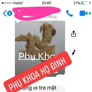 phụ khoa họ dinh