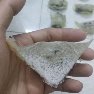 yến sào nguyên chất