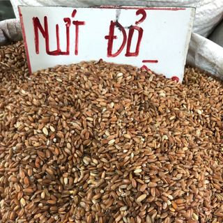Gạo lứt đỏ yên bái