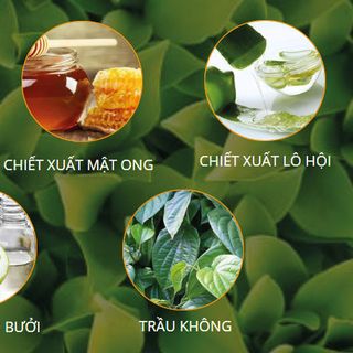 Chai Xịt Mọc Tóc chống Hói Đầu Tóc Bạc Sơm Magic Hair Serum