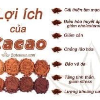 Ca cao nguyên chất