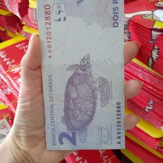 500 BAO LIXI MẪU ĐÔ