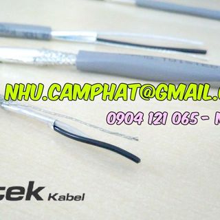 Cáp vặn xoắn theo cặp chống nhiễu nước ngoài
