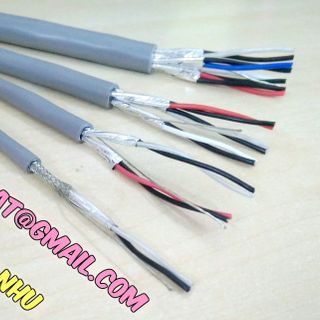 Cáp vặn xoắn theo cặp chống nhiễu nước ngoài