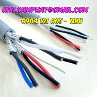 Cáp vặn xoắn theo cặp chống nhiễu nước ngoài