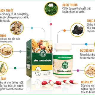 Viên Uống Đẳng Sâm Đại Bổ Hoàn Giúp Tăng Cân Lọ 60 Viên