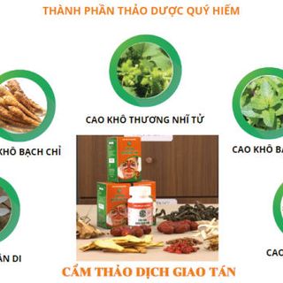 Viên Uống Cẩm Thảo Dịch Giao Tán Chữa Viêm Xoang Viêm Mũi Dị Ứng Lọ 60 Viên