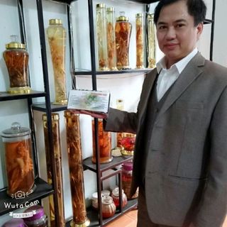 sỉ cao gắm