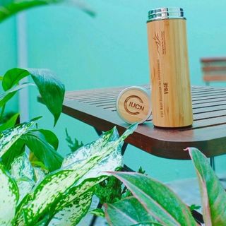 chai giữ nhiệt vỏ tre