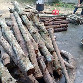 cao gắm sỉ