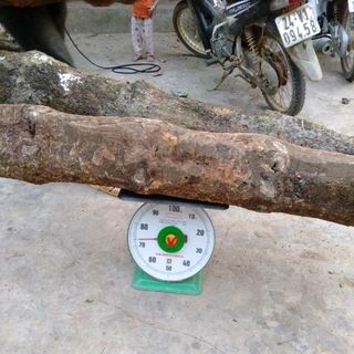 cao gắm sỉ giá nguồn