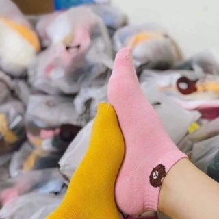 sỉ tất gấu sll giá rẻ