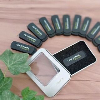 usb giá sỉ usb giá rẻ có in logo