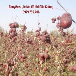 TÁO ĐỎ KHÔ TÂN CƯƠNG CẮT LÁT GIÒN NGỌT