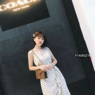 Đầm 2s bi bèo tà