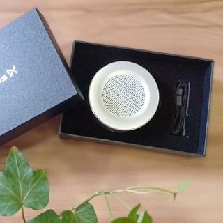 loa bluetooth in logo