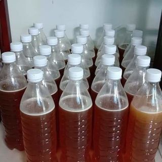 Mật ong Điện Biên hoa rừng hoa vải hoa nhãn giá sỉ
