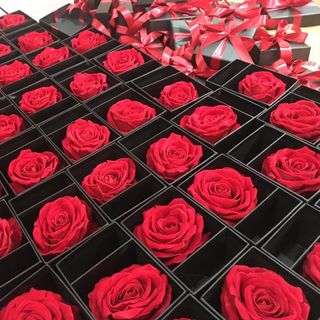 Sỉ hộp đầu hồng nhung đựng son giá tốt nhất nhất