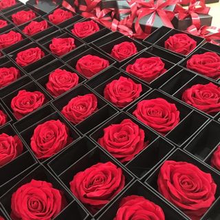 Sỉ hộp đầu hồng nhung đựng son giá tốt nhất nhất