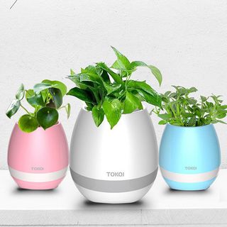 Loa bluetooth kiêm chậu trồng cây TOKQI giá sỉ