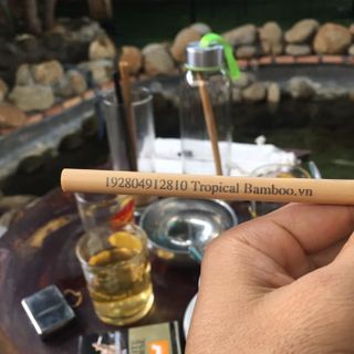 Ống Hút Tre Nứa Tropical Bamboo Khắc Laser Tên hoặc Brand