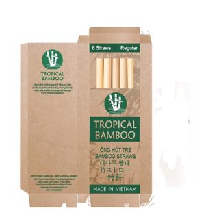 Bộ 6 ống hút tre Tropical Bamboo Original giá sỉ