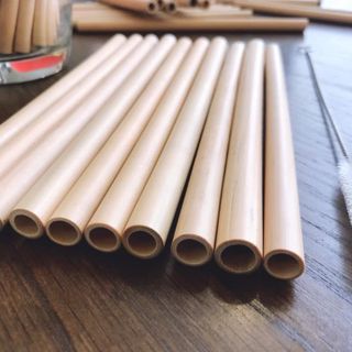Ống Hút Tre Nứa Tropical Bamboo