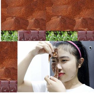 Ngũ Hoa Hạt - Hạt Đình Lịch - Bạch Tuyết