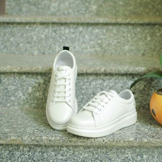 Giày thể thao nam