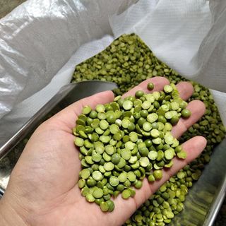 Đậu hà lan xanh nguyên hạt/tách hạt nguồn gốc rõ ràng bỏ sỉ số lượng lớn