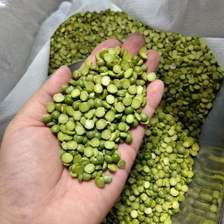 Đậu hà lan xanh nguyên hạt/tách hạt nguồn gốc rõ ràng bỏ sỉ số lượng lớn